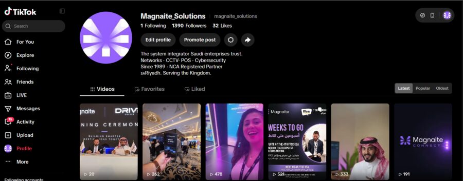 Magnaite's TikTok profile showing follower count and video views.